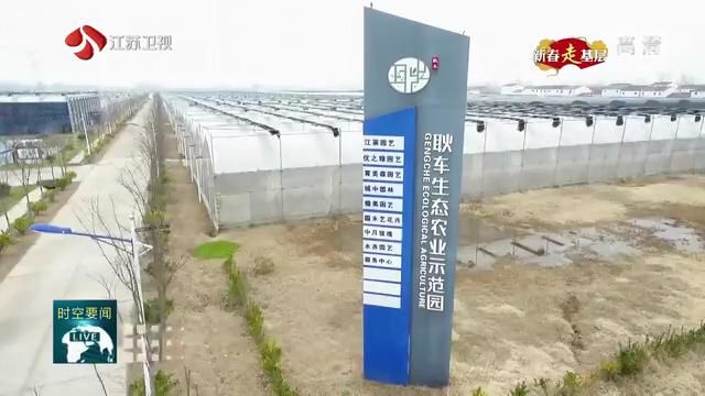 【新春走基层】刘圩村的“新模样”：农房改善筑起村民小康梦