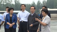 河南省副省长戴柏华：层层压实责任 全力做好防汛和河长制工作