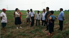 南阳市宛城区高庙镇开办贫困劳动力就业技能提升培训班