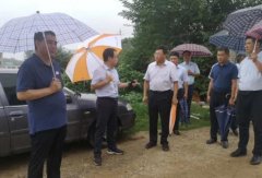 南阳市卧龙区委副书记、区长杜勇带队调研卧龙区储备土地和城区道路建设情况