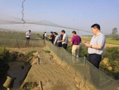 河南省唐河县苍台镇：返乡青年靠养殖致富开创扶贫新天地