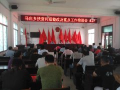 河南省镇平县马庄乡：多措并举，扎实开展扶贫“九问”攻坚行动