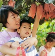 南阳市宛城区瓦店镇：公益采摘助力精准脱贫