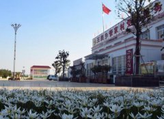 河南省镇平县王岗乡：一个贫困村的华丽变身