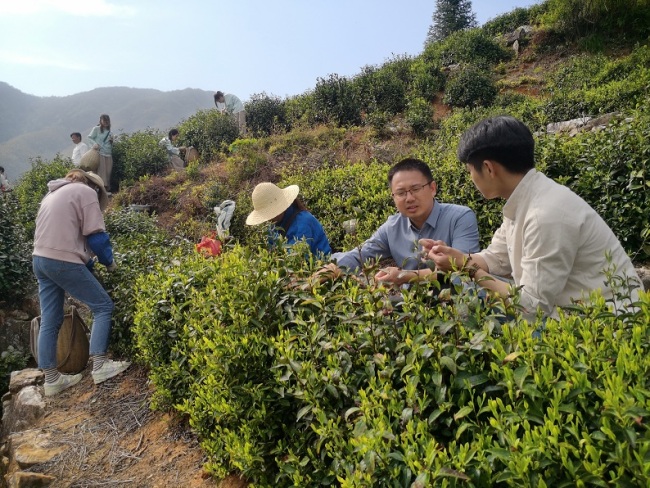 乡村振兴 金山时雨 