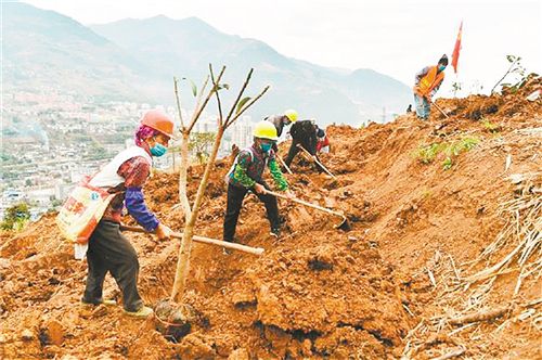 春耕忙就业稳“新家”建设不停歇