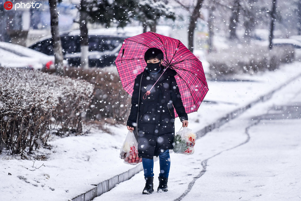 沈阳普降春雪【3】