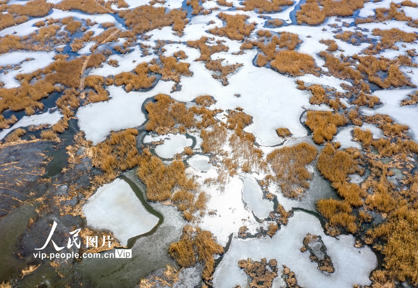 航拍大庆龙凤湿地景美如画【3】