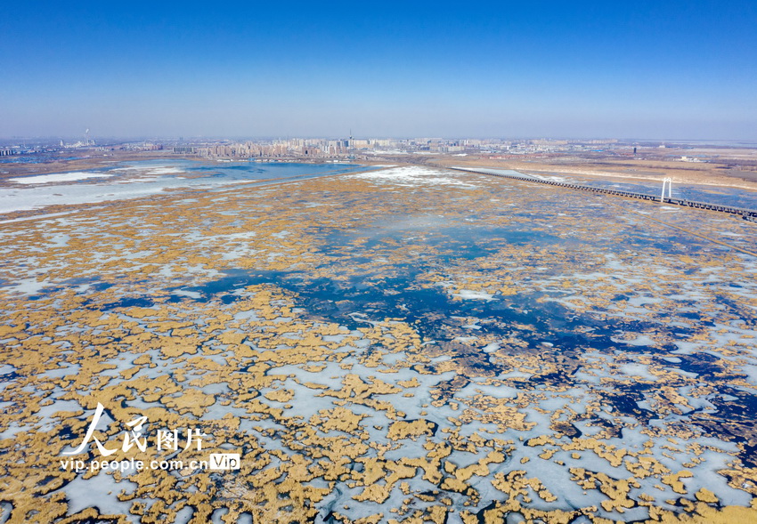 航拍大庆龙凤湿地景美如画【5】