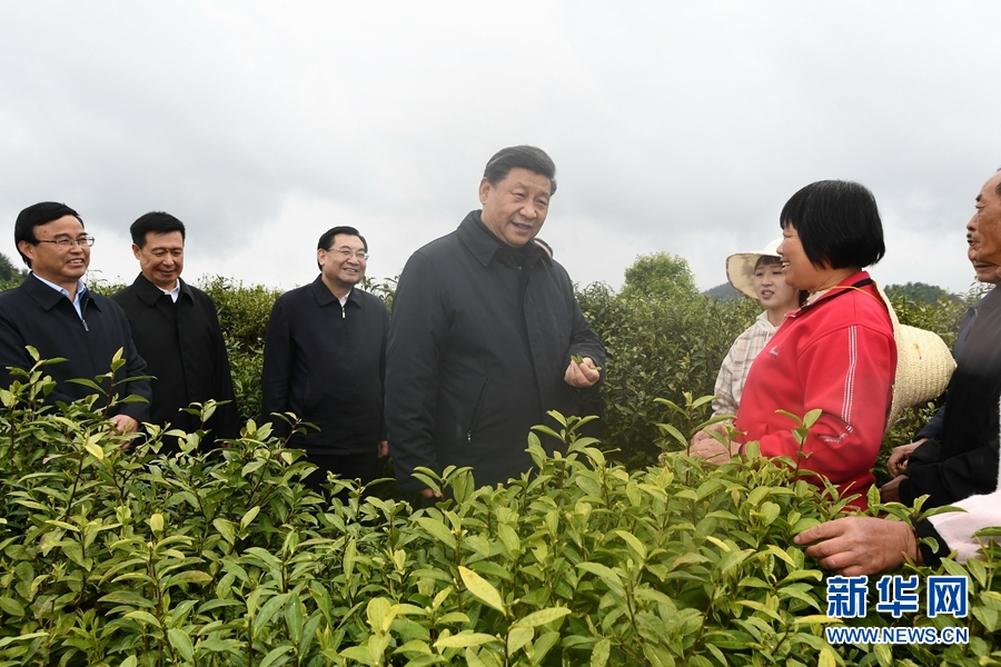 习近平：奋力谱写陕西新时代追赶超越新篇章