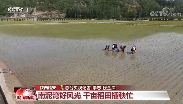 全国各地多举措保障夏收 确保颗粒归仓