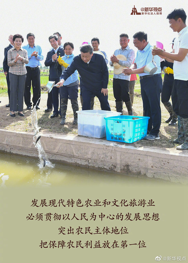 习近平在宁夏考察调研讲话金句