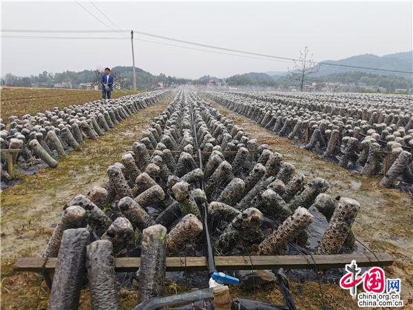 湖南隆回中洲村：一腔真情激发脱贫之心