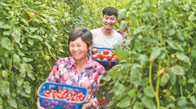 农大毕业生返乡办农场