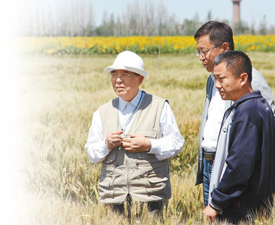 讲述·一辈子一件事：赤诚守望在麦田里