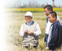 讲述·一辈子一件事：赤诚守望在麦田里