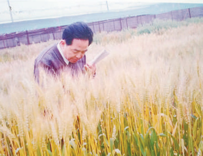 讲述·一辈子一件事：赤诚守望在麦田里