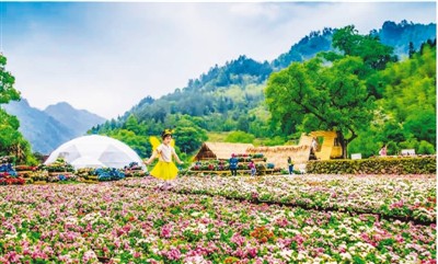 青山绿水创造生态财富