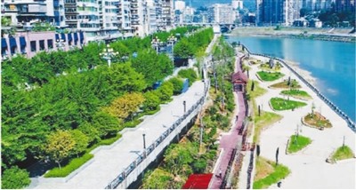 青山绿水创造生态财富