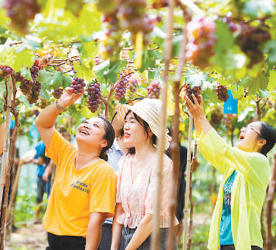为乡村振兴提供有力法治保障（坚持和完善人民代表大会制度）