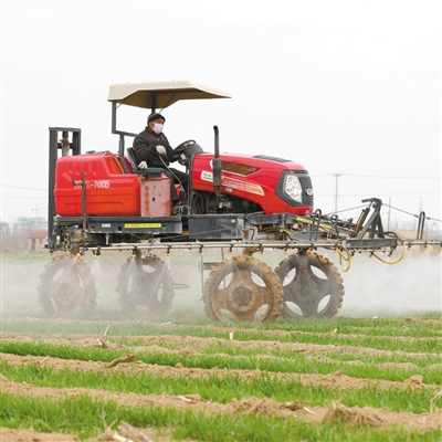 为乡村振兴提供有力法治保障（坚持和完善人民代表大会制度）