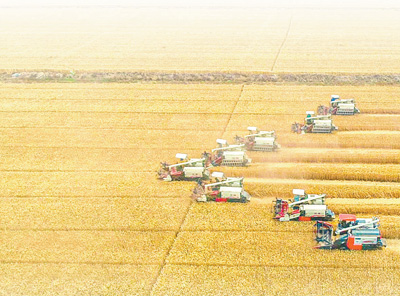 为乡村振兴提供有力法治保障（坚持和完善人民代表大会制度）