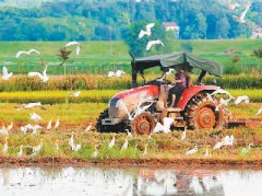 “破垸子”变成“聚宝盆”