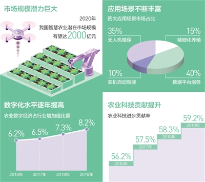 庄稼汉“慧”种田