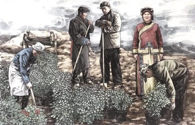 高原玫瑰（脱贫故事绘·自强篇）