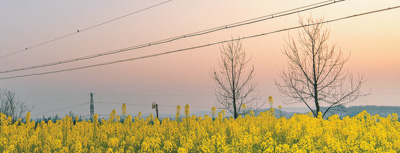 决胜2020：致富路上的光与热