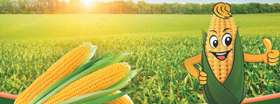 虫口夺粮，昆虫雷达助力战“妖蛾”