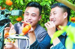 多部门出台政策“大礼包”助力高校毕业生就业