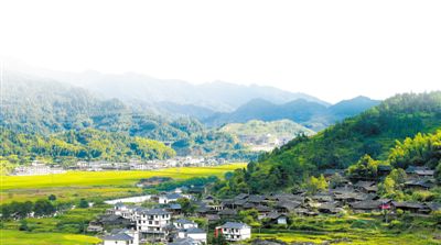 茅坡村的变化为什么这么大