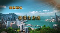 纪录片《香港生命线》的艺术特色