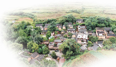 伏牛山区三合村——“绘”出通往小康路