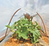 管理成闭环使用更规范