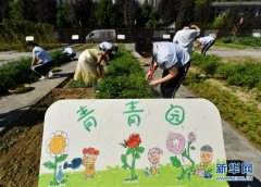 西安：农耕体验迎开学