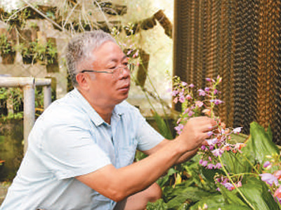 “花在哪里开,我就去哪里”