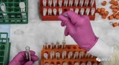 白宫急推“超前疫苗时间表” 美各界呼吁应把安全而非政治放首位