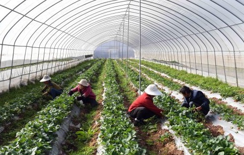 中办国办：提高土地出让收入用于农业农村比例