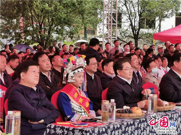 湖南：农业农村发展根基稳 线上线下联动收获丰