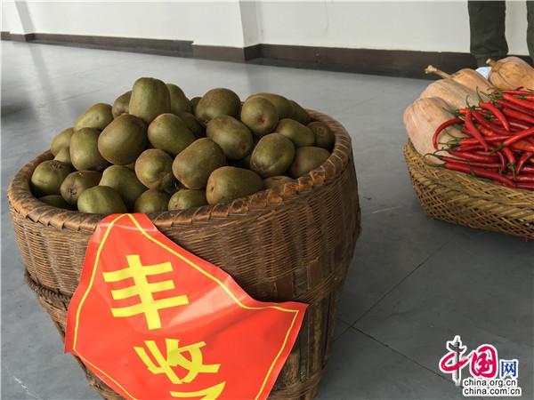 湖南：农业农村发展根基稳 线上线下联动收获丰