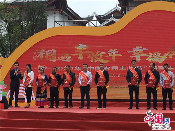 湖南：农业农村发展根基稳 线上线下联动收获丰