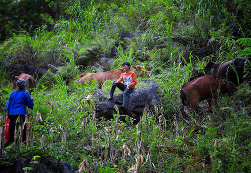 “一个都不能少”山里娃重拾读书梦 元气森林公益助学