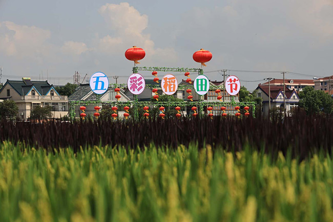 十一黄金周地理标志产品带动乡村观光游