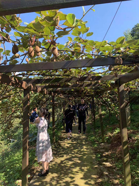 十一黄金周地理标志产品带动乡村观光游