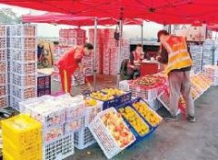 新发地“上新”蔬菜供应恢复往年水平