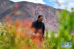 “我有一个植树梦”——扎西旺堆和他的“绿色家园”