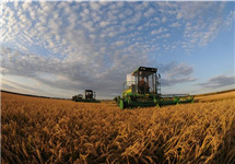 数字“黑土地”长出“新庄稼”