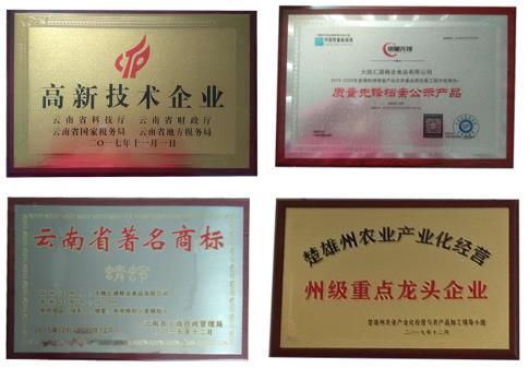 云南大姚汇源蜂业野坝子蜂蜜——一份来自楚雄原生态的礼物